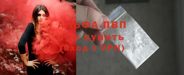 крисы Ивангород