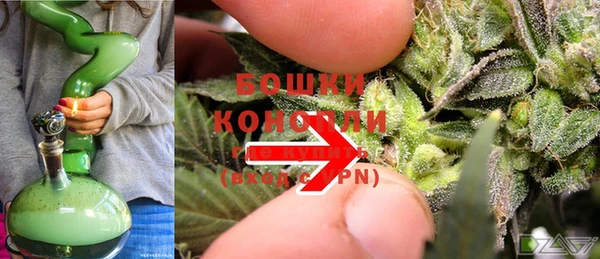 ГАЛЛЮЦИНОГЕННЫЕ ГРИБЫ Сосновоборск