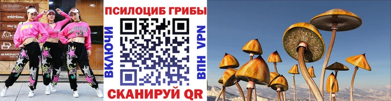 Псилоцибиновые грибы Cubensis  Руза 